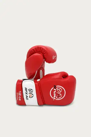 Rival Boxing — ranked #10