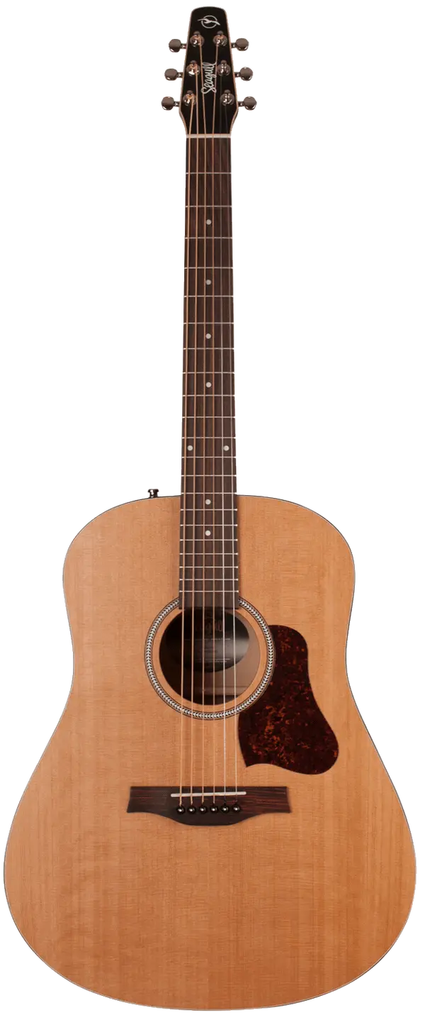 Seagull - ranking option ranked #14