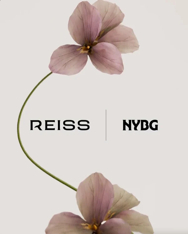 Reiss - ranking option ranked #6