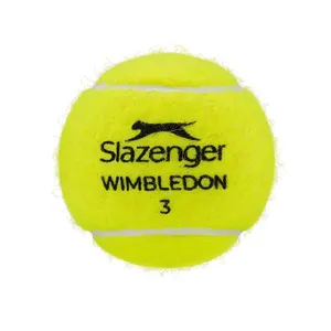 Slazenger — ranked #8