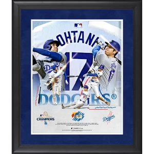 2024 World Series Championship — ranked #4