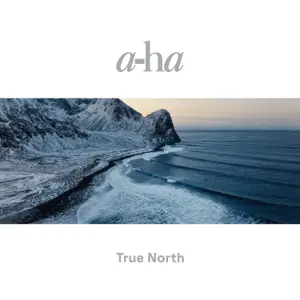 True North (2022) — ranked #11