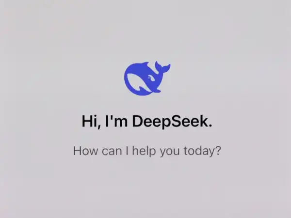 DeepSeek - ranking option ranked #11