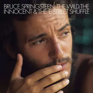 The Wild, the Innocent & the E Street Shuffle — ranked #6