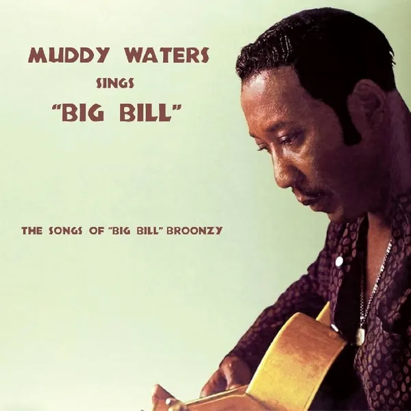 Muddy Waters Sings Big Bill Broonzy - ranking option ranked #9