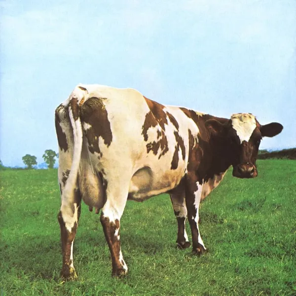 Atom Heart Mother - ranking option ranked #5