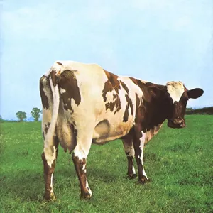 Atom Heart Mother — ranked #5