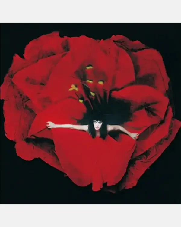 Adore - ranking option ranked #4