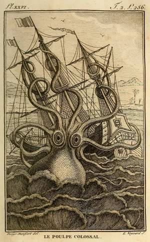 Kraken — ranked #7