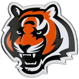 Cincinnati Bengals — ranked #9