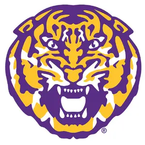 LSU Tigers — ranked #11