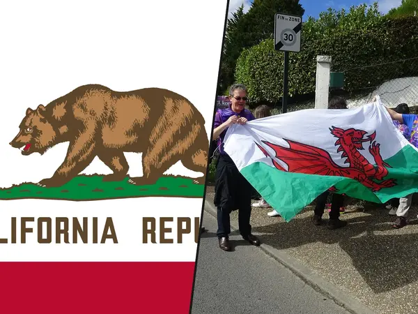 What is the best animal on a flag?