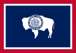 Wyoming Bison — ranked #11