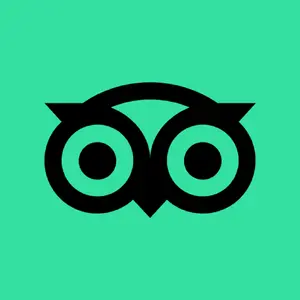 TripAdvisor — ranked #5