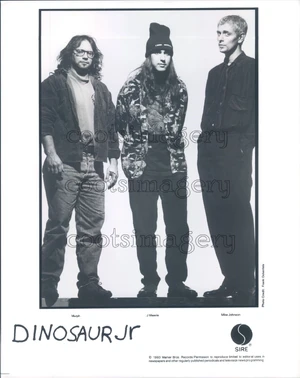 Dinosaur Jr. — ranked #15
