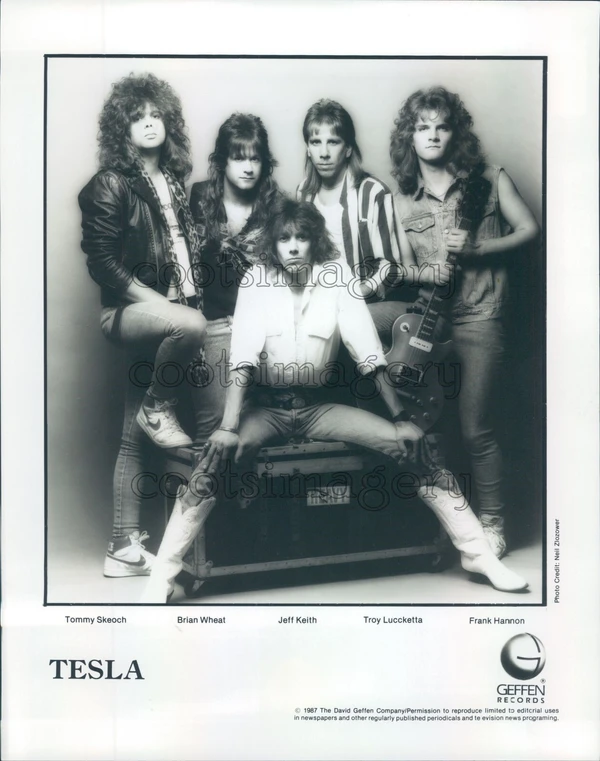 Tesla - ranking option ranked #16