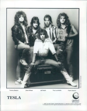 Tesla — ranked #16