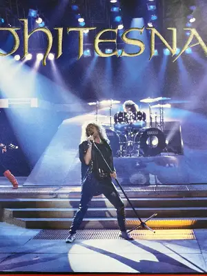 Whitesnake — ranked #10