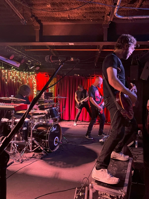 If These Trees Could Talk - ranking option ranked #11