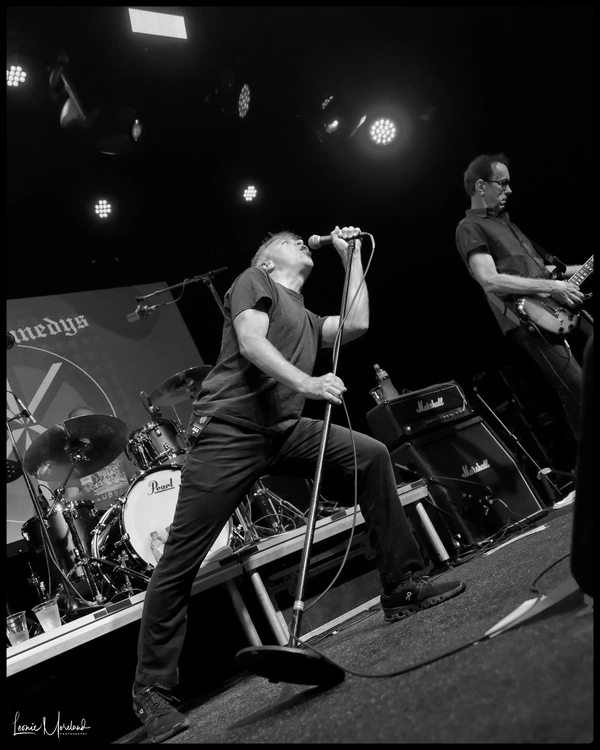 Dead Kennedys - ranking option ranked #4