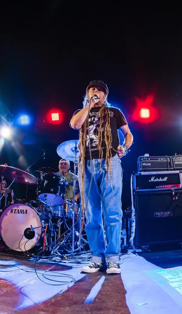 The Descendents - ranking option ranked #10