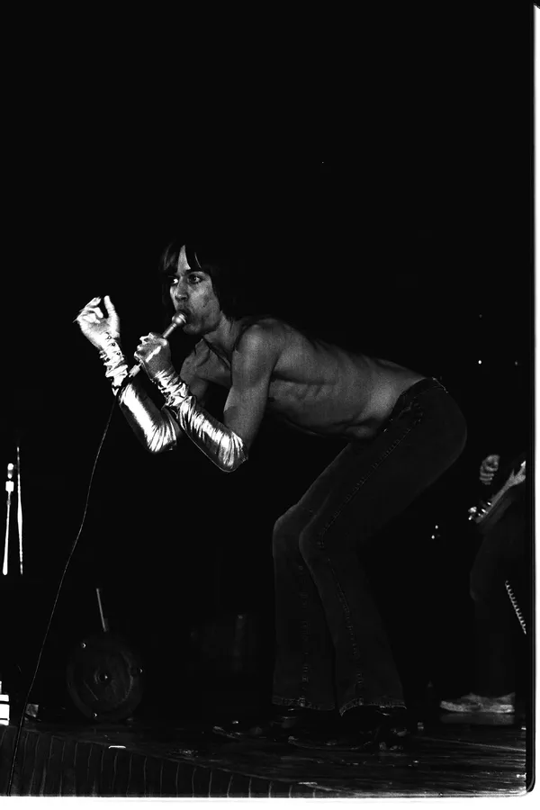 The Stooges - ranking option ranked #14