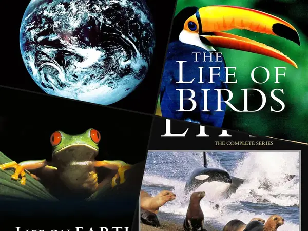 What is the best BBC natural history series presented by David Attenborough?