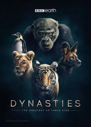 Dynasties — ranked #11