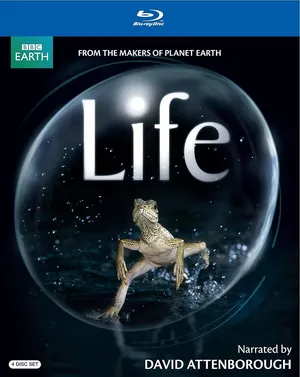 Life — ranked #7