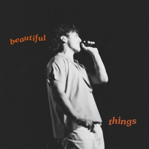 Beautiful Things — ranked #1