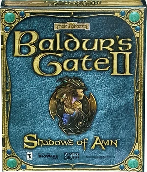 Baldur's Gate II: Shadows of Amn — ranked #8