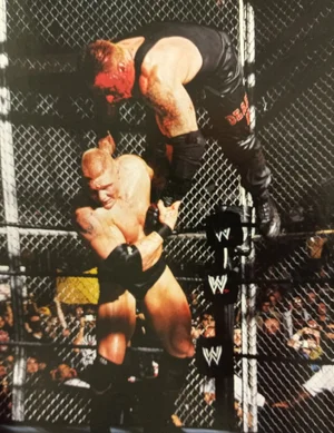 vs. The Undertaker, Hell in a Cell 2002 — ranked #9