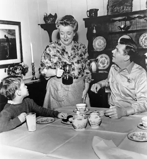 The Andy Griffith Show — ranked #14