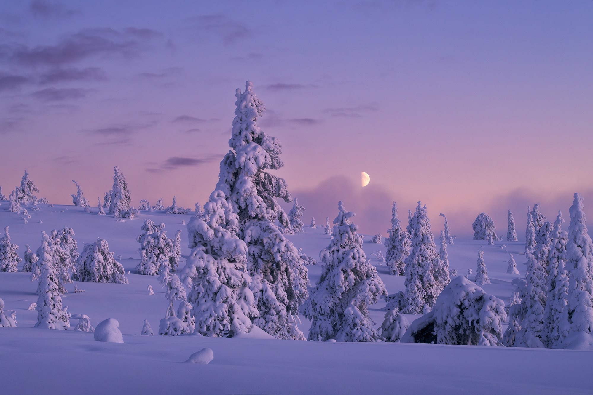 Finland — ranked #10