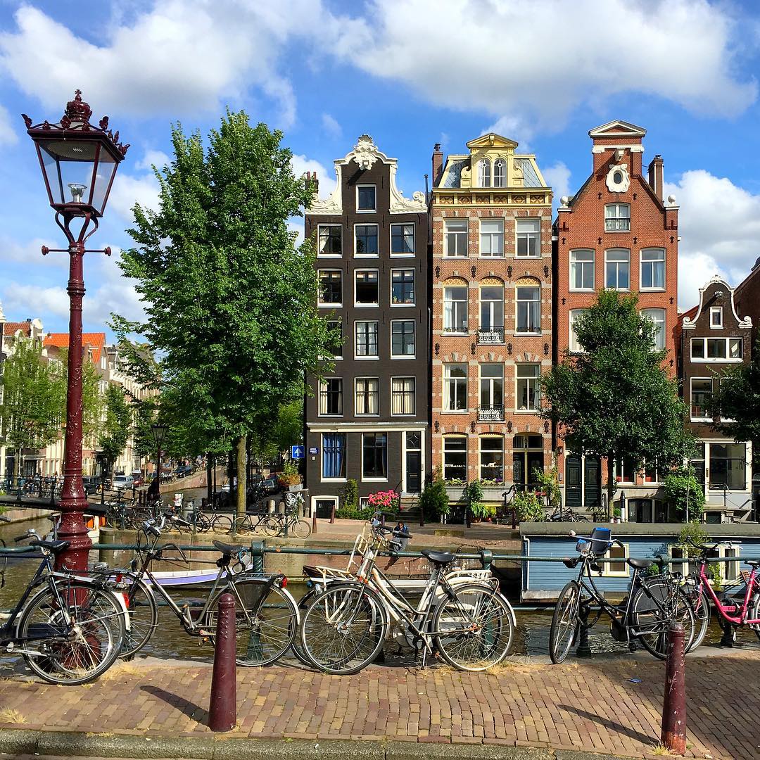 Netherlands — ranked #15