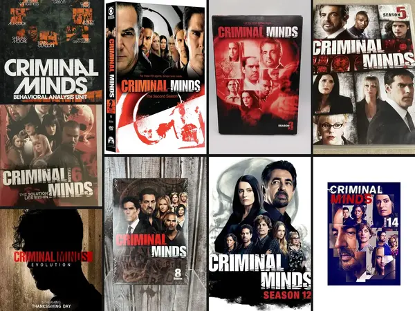 What is the best Criminal Minds season?