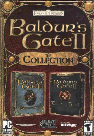 Baldur's Gate II — ranked #5