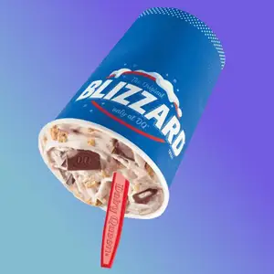 S'mores Blizzard — ranked #11