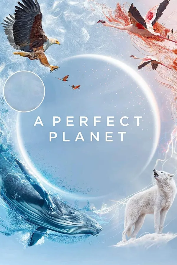 A Perfect Planet - ranking option ranked #14