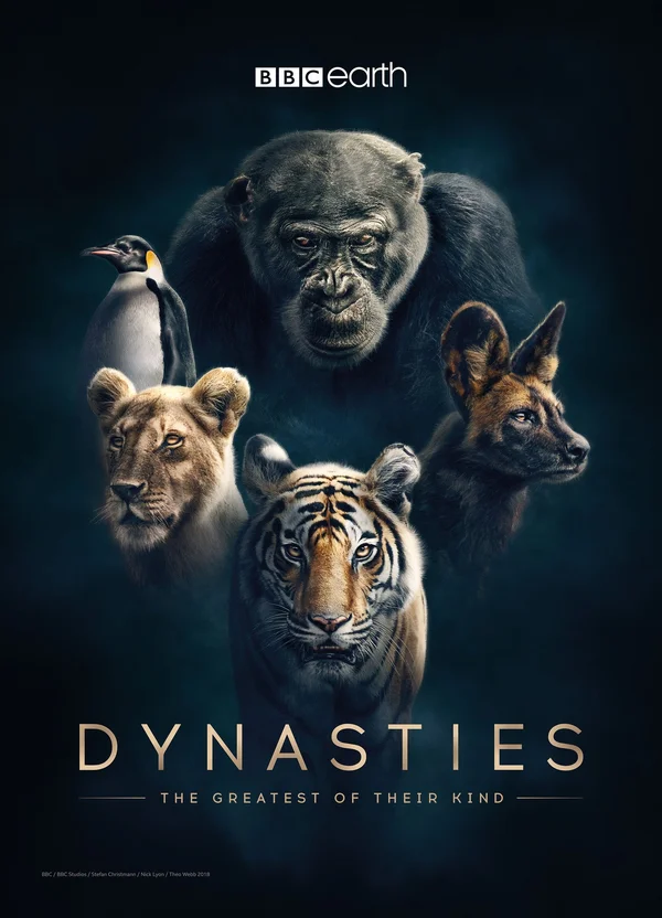 Dynasties - ranking option ranked #8