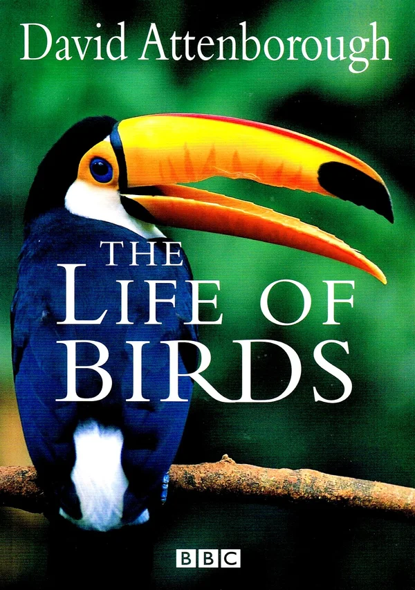 Life of Birds - ranking option ranked #13