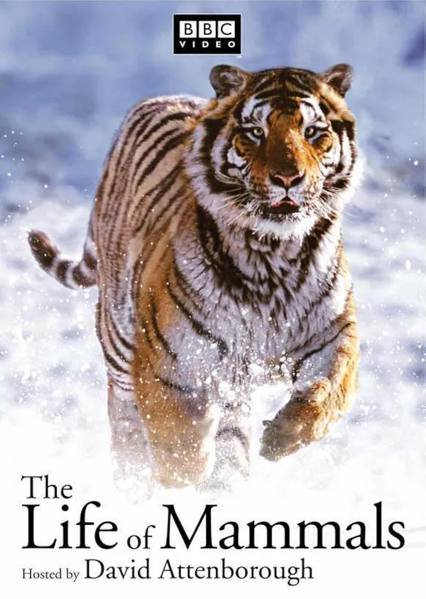 Life of Mammals - ranking option ranked #12