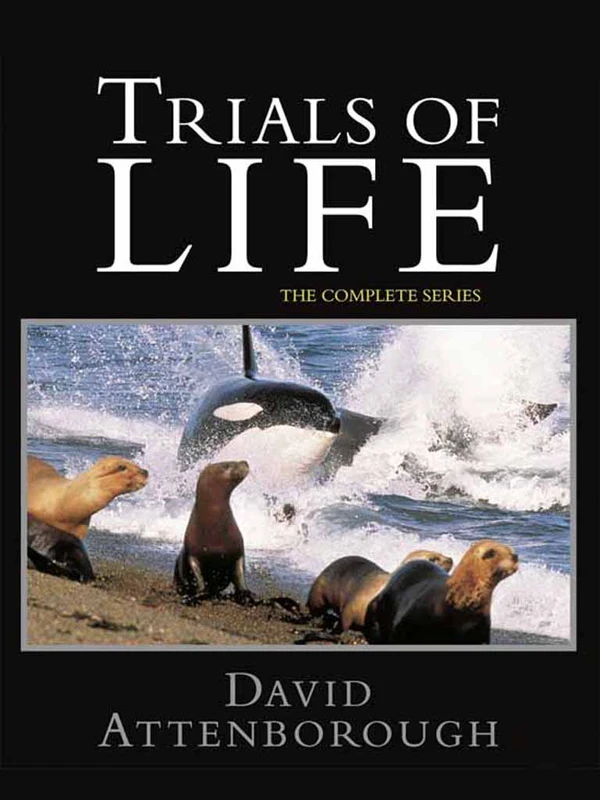 Trials of Life - ranking option ranked #16