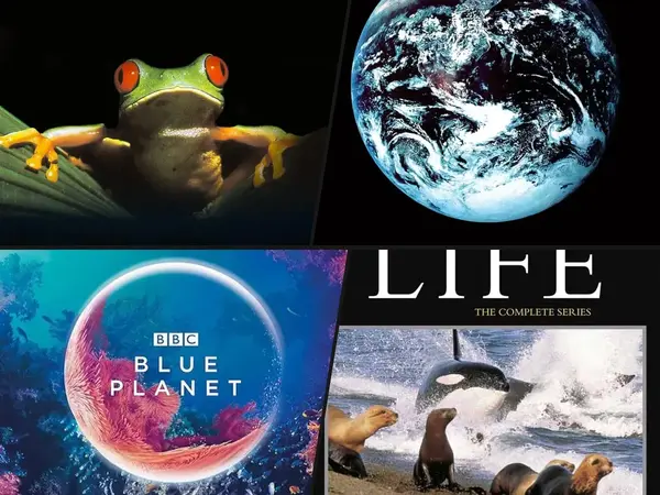 What is the best David Attenborough documentary series?