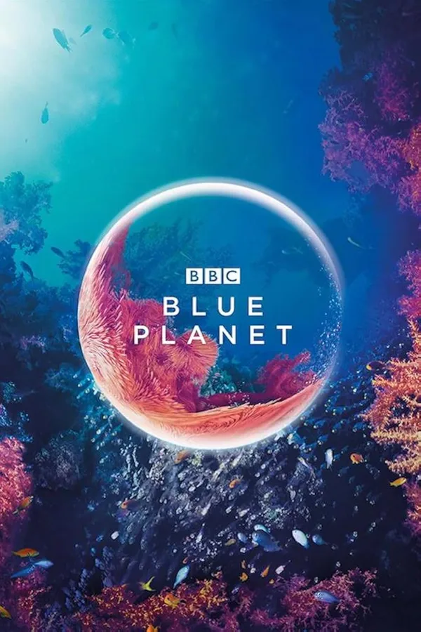 The Blue Planet - ranking option ranked #4