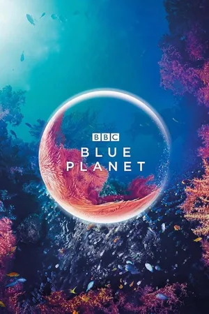 The Blue Planet — ranked #4