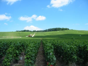Champagne cellars of Epernay — ranked #4