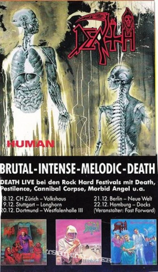 Human - ranking option ranked #1