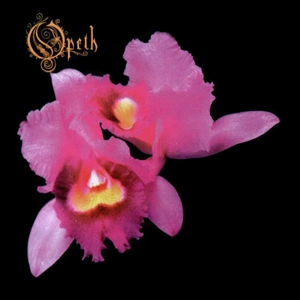 Orchid — ranked #11