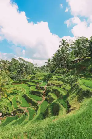 Bali — ranked #7